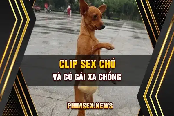 Clip sex chó và cô gái xa chồng